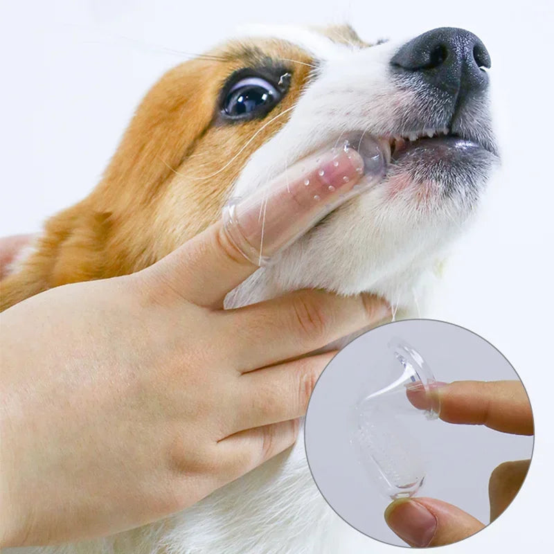 Escova de dente de dedo para pets